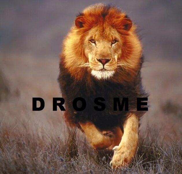 4.atslēga "Drosme"